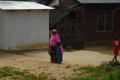 DSC_8719 (Large).JPG